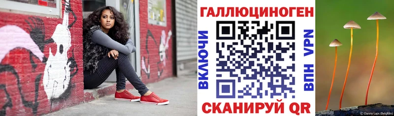 Галлюциногенные грибы Psilocybine cubensis  KRAKEN ССЫЛКА  Динская 